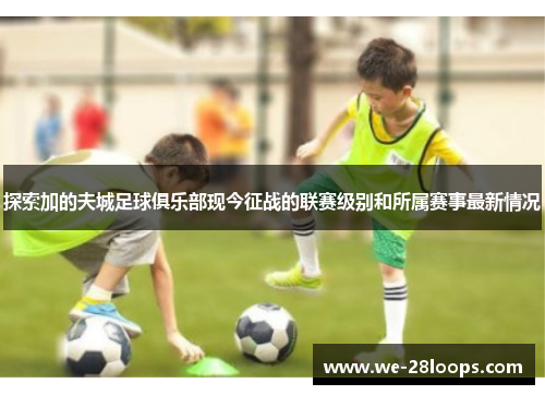 探索加的夫城足球俱乐部现今征战的联赛级别和所属赛事最新情况