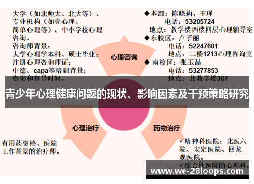 青少年心理健康问题的现状、影响因素及干预策略研究