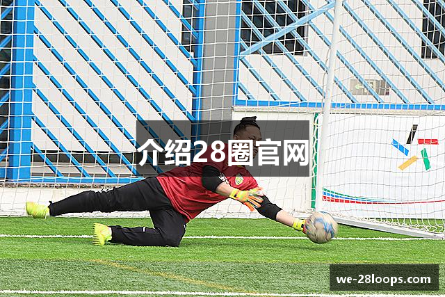 介绍28圈官网